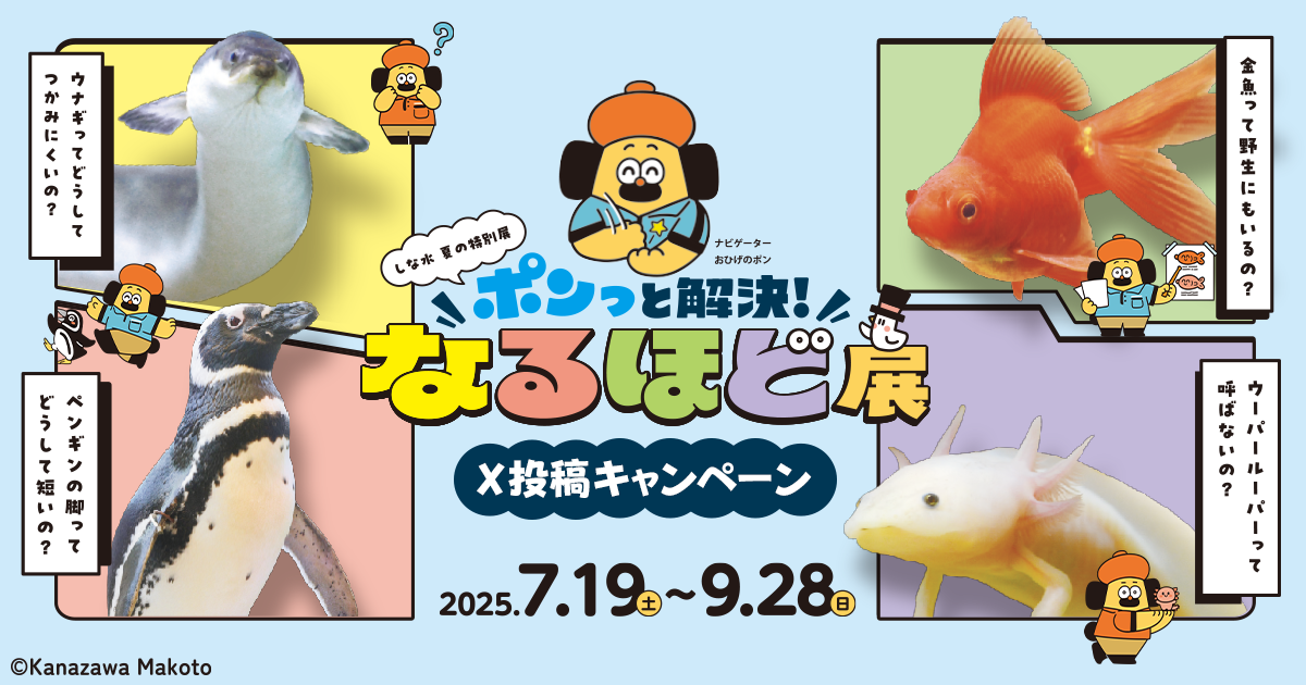夏の特別展 X投稿キャンペーン - しながわ水族館