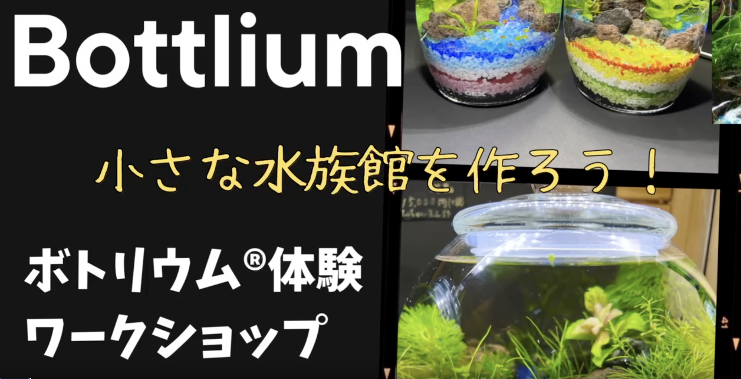 親子で楽しめるワークショップ“ボトリウム®教室” - しながわ水族館
